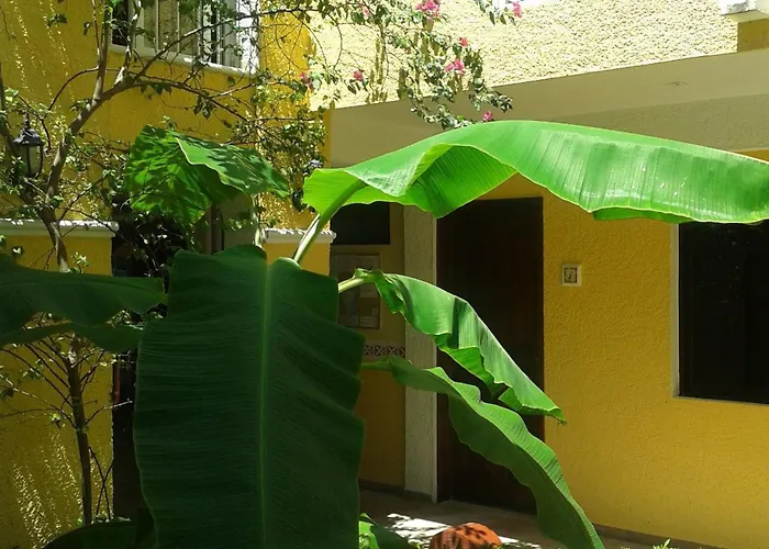 Real Del Mayab Hotel